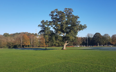 Bakers Park, Newton Abbot