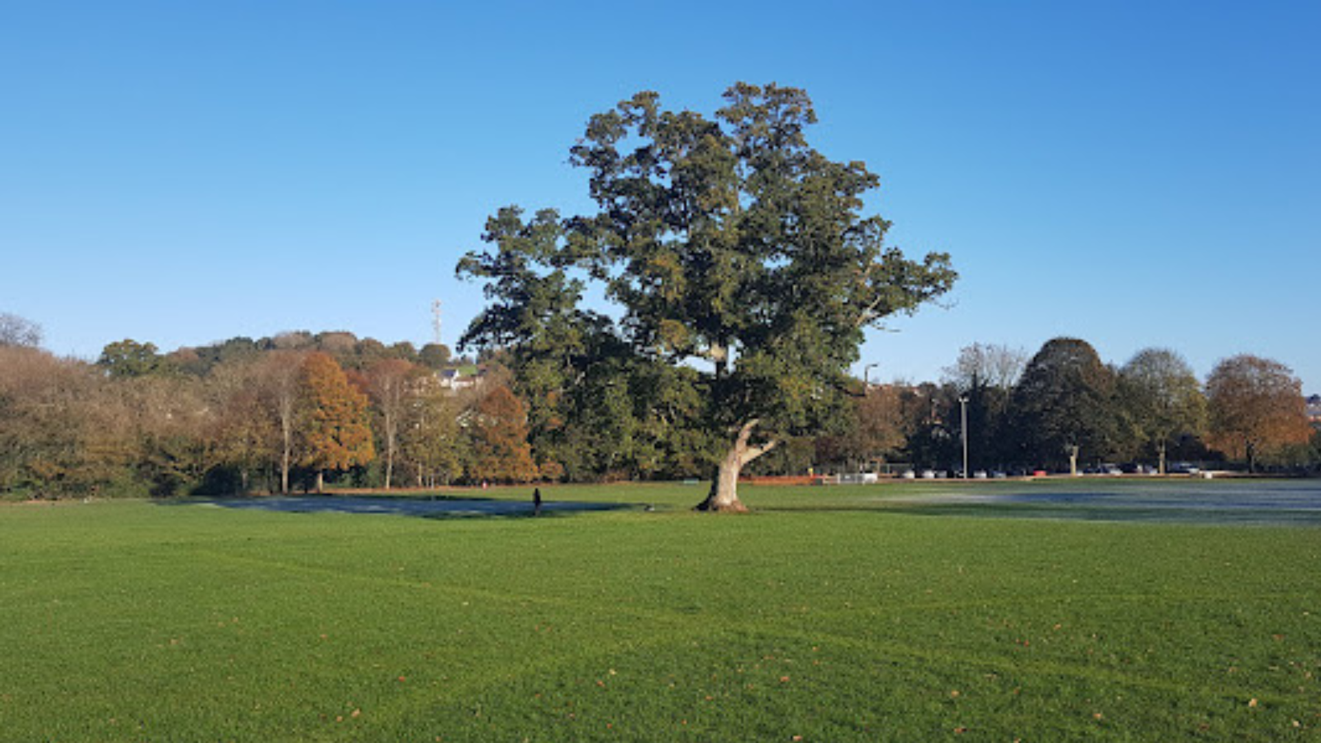 bakers park newton abbot